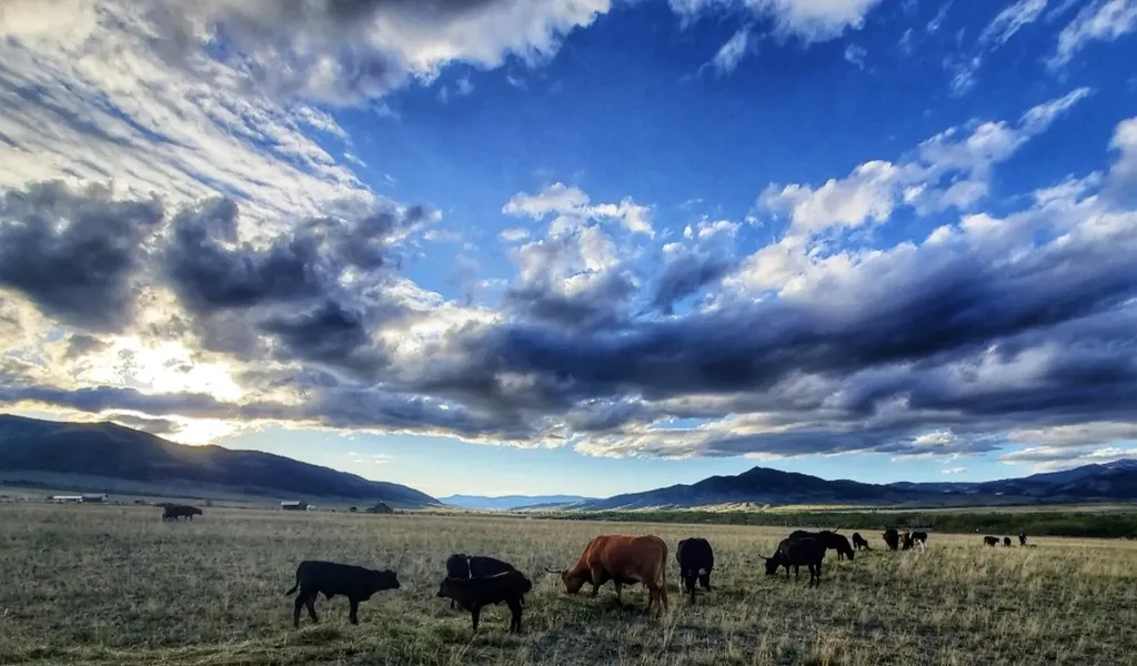 2733 Mt Highway 69 Boulder MT 59632