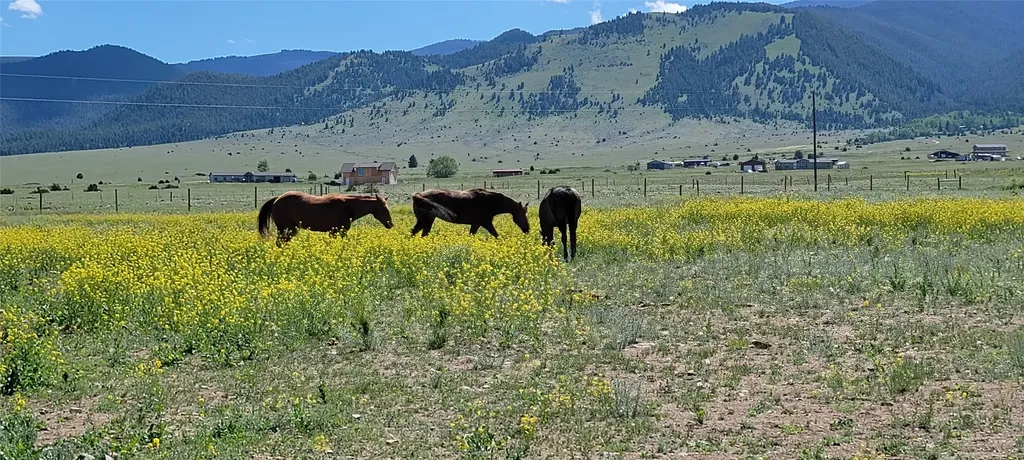 2733 Mt Highway 69 Boulder MT 59632