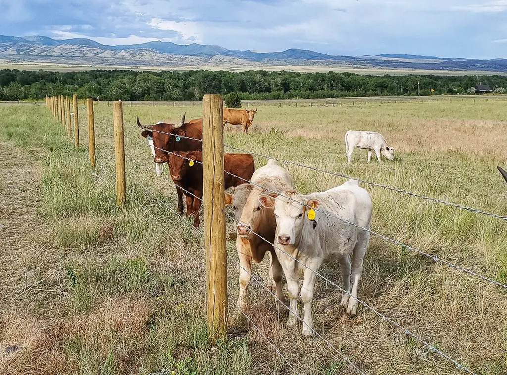 2733 Mt Highway 69 Boulder MT 59632