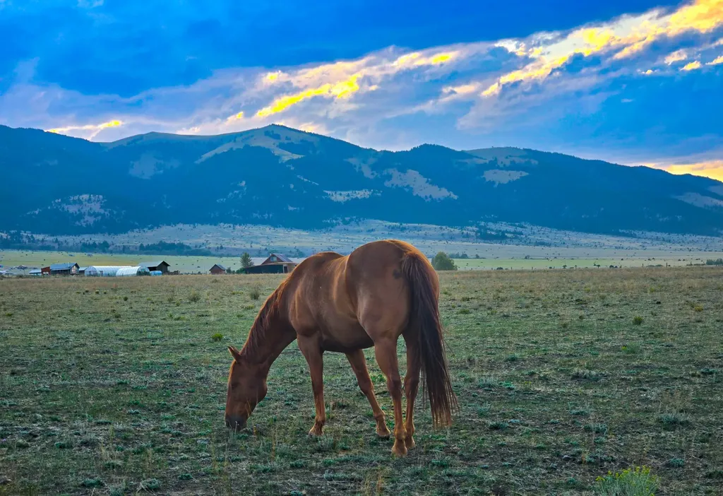 2733 Mt Highway 69 Boulder MT 59632