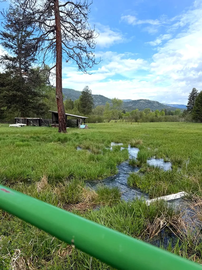24405 Nine Mile Road Huson MT 59846