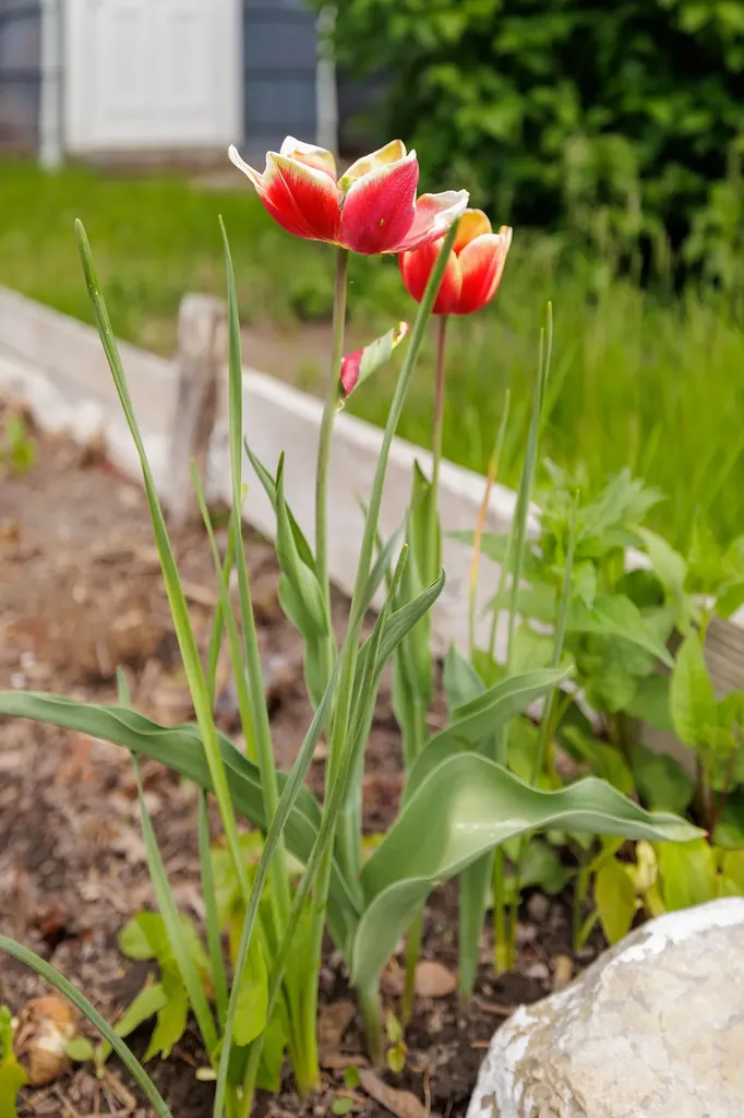 419 9th Avenue W Kalispell MT 59901