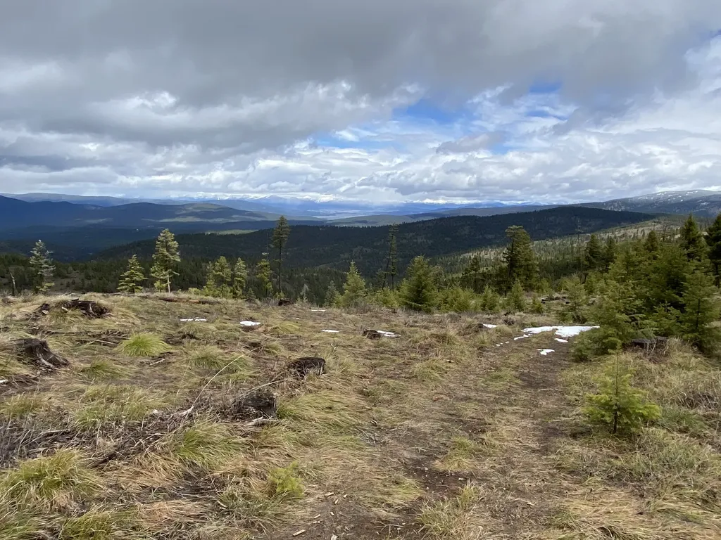 35465 Lessnau Lane Clinton MT 59825