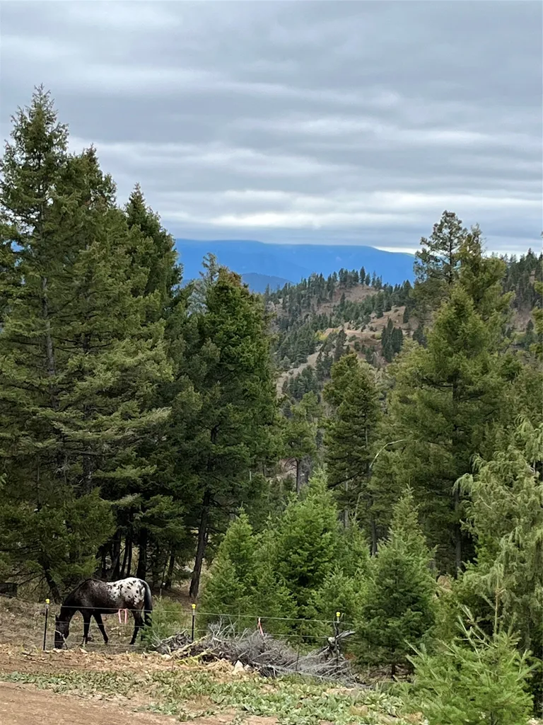 35465 Lessnau Lane Clinton MT 59825
