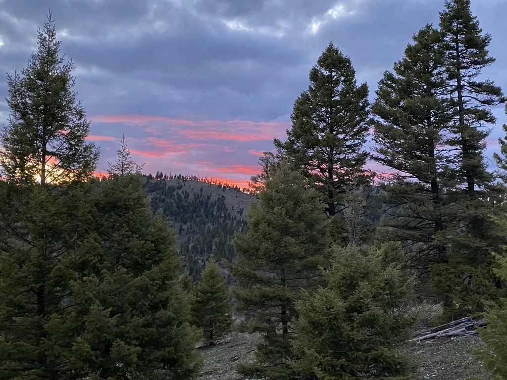 35465 Lessnau Lane Clinton MT 59825