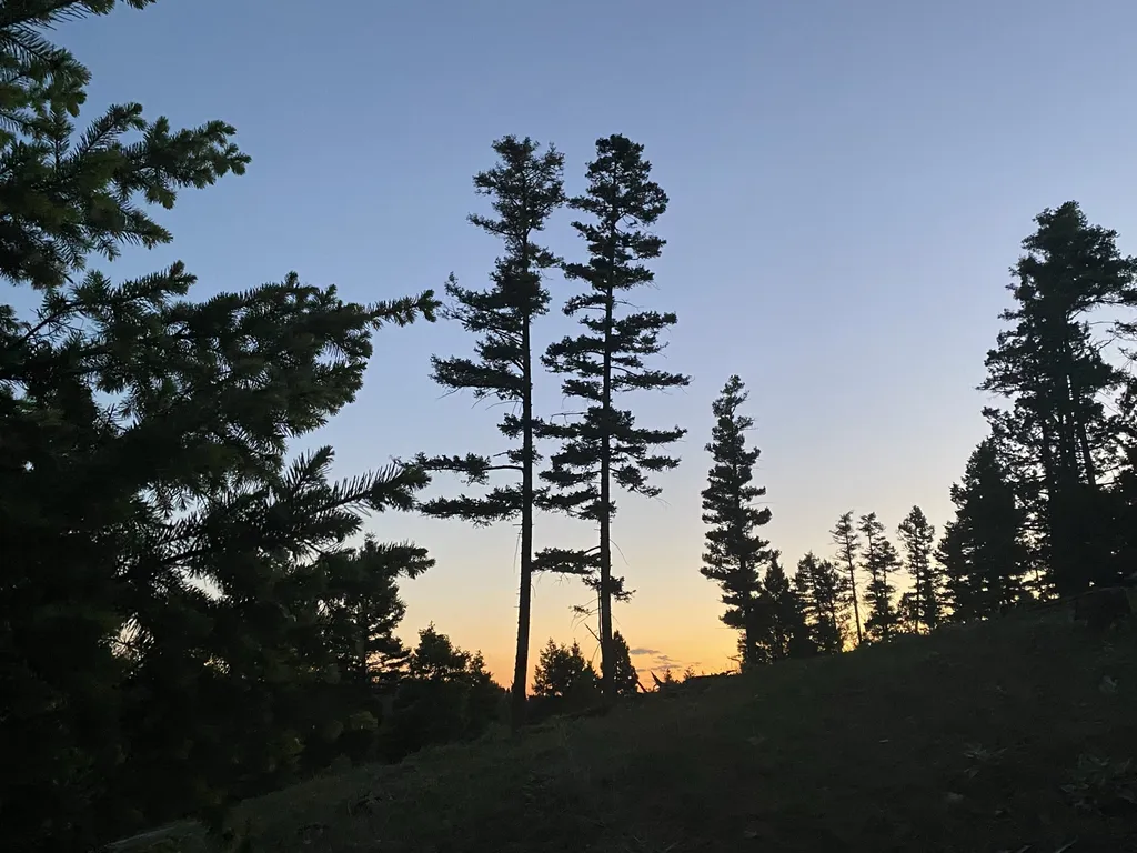 35465 Lessnau Lane Clinton MT 59825