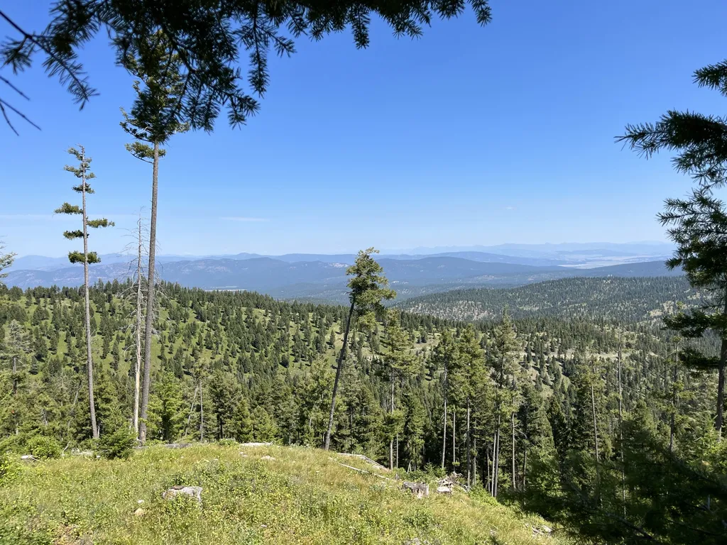 35465 Lessnau Lane Clinton MT 59825
