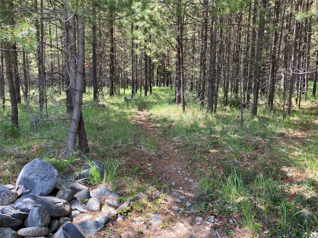 1606 N Fork Yaak Road Troy MT 59935