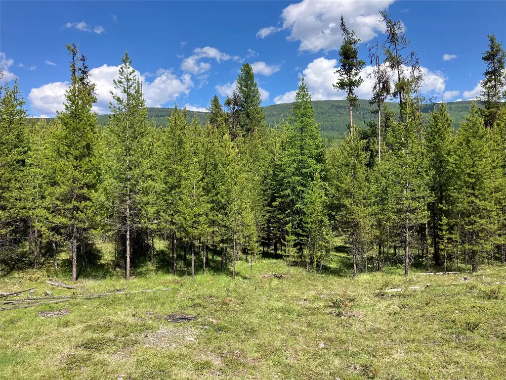 1606 N Fork Yaak Road Troy MT 59935