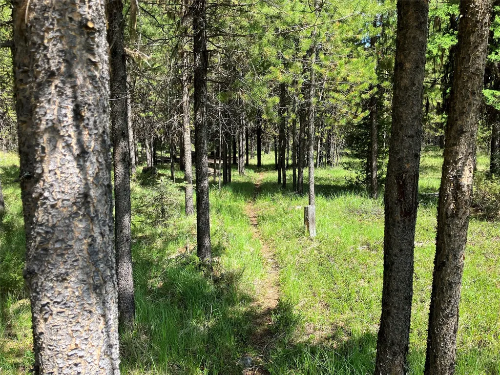 1606 N Fork Yaak Road Troy MT 59935