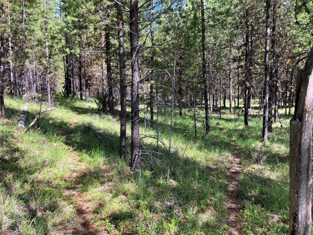 1606 N Fork Yaak Road Troy MT 59935