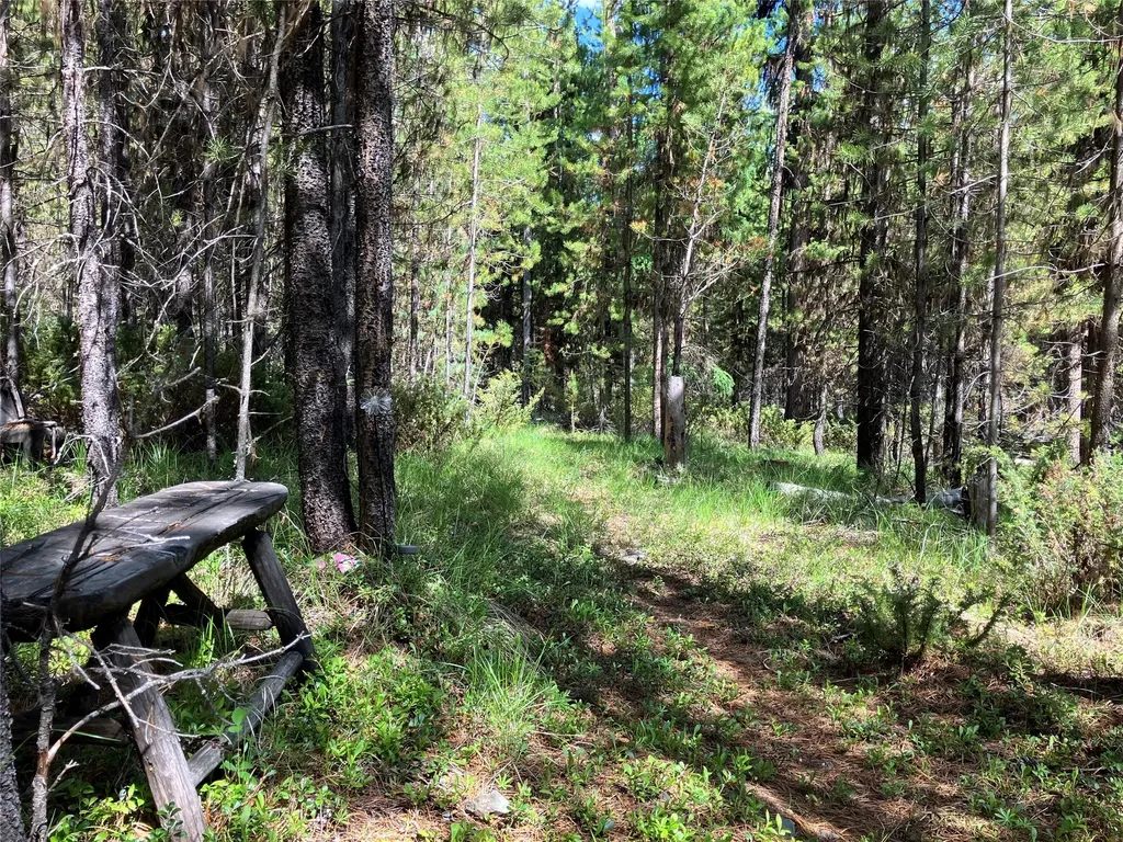 1606 N Fork Yaak Road Troy MT 59935