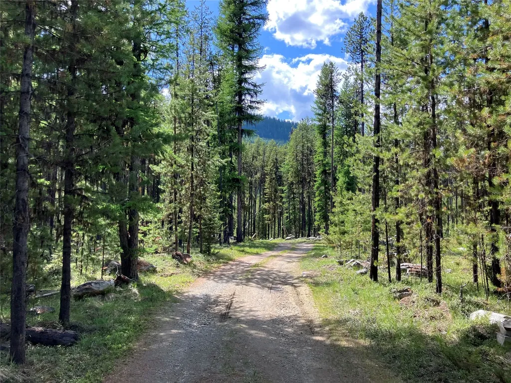 1606 N Fork Yaak Road Troy MT 59935