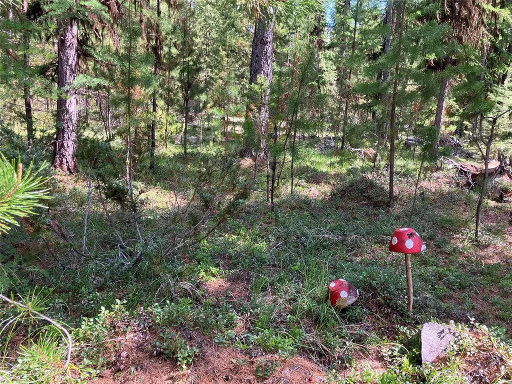 1606 N Fork Yaak Road Troy MT 59935