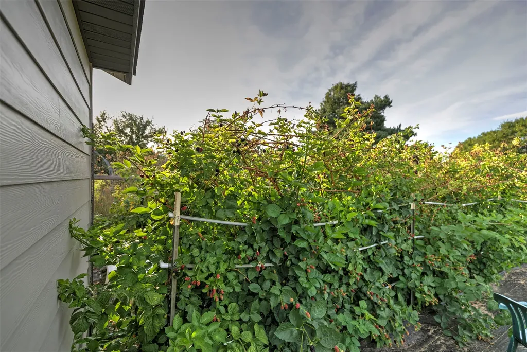 612 Wises Way Corvallis MT 59828
