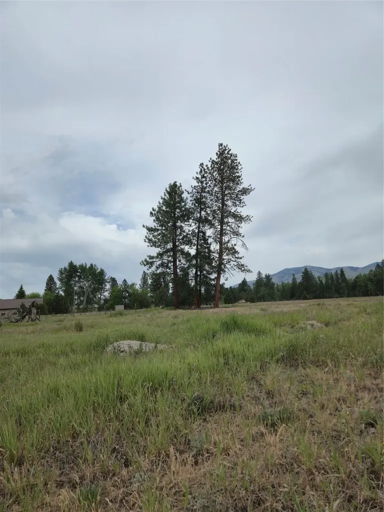 5616 Klements Lane Florence MT 59833