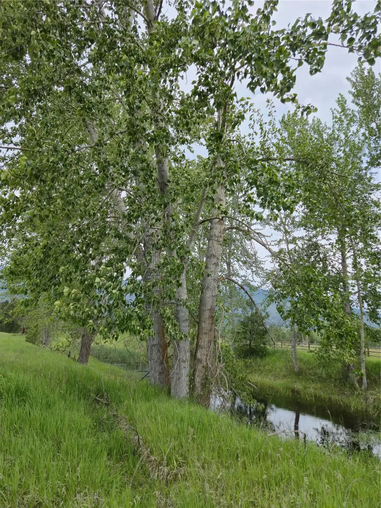 5616 Klements Lane Florence MT 59833