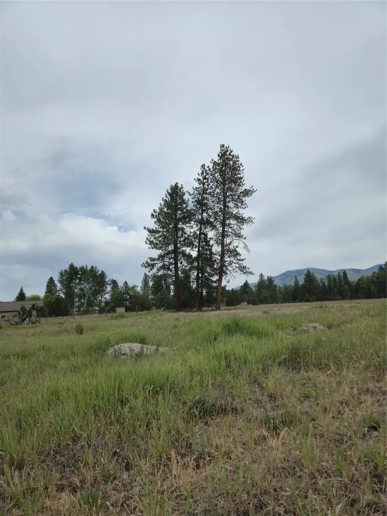 5616 Klements Lane Florence MT 59833