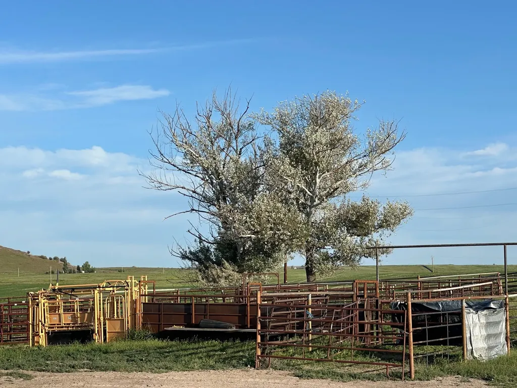 46471 Valley View Road Ronan MT 59864