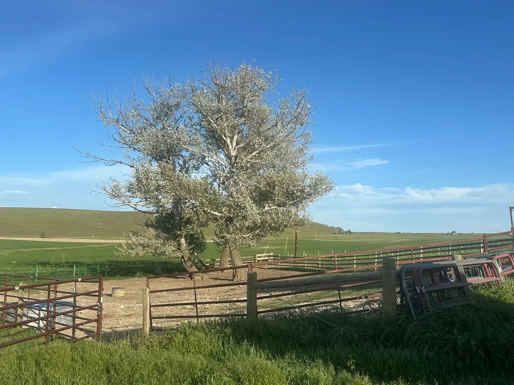 46471 Valley View Road Ronan MT 59864
