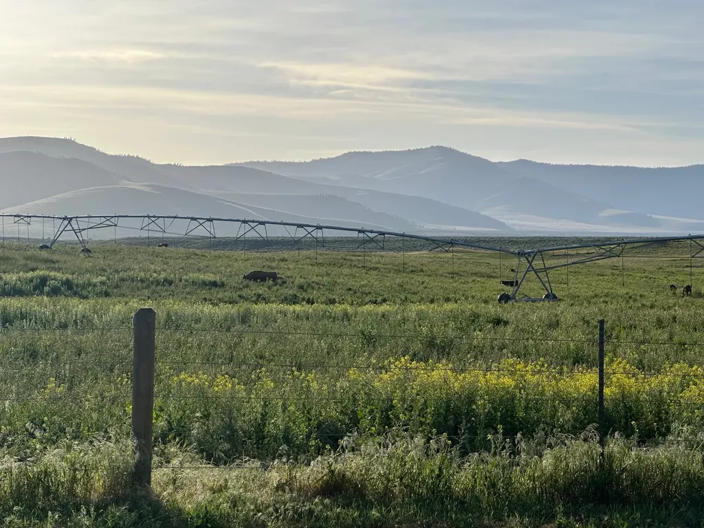 46471 Valley View Road Ronan MT 59864