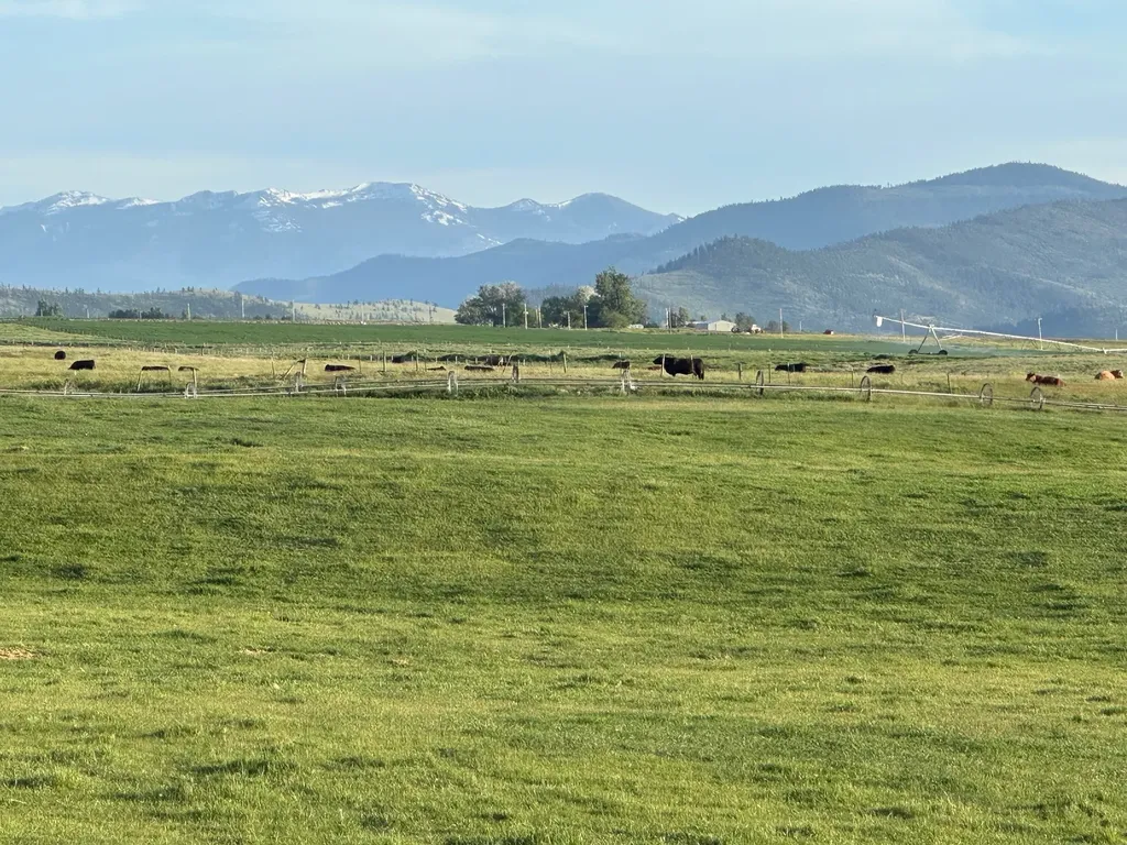 46471 Valley View Road Ronan MT 59864