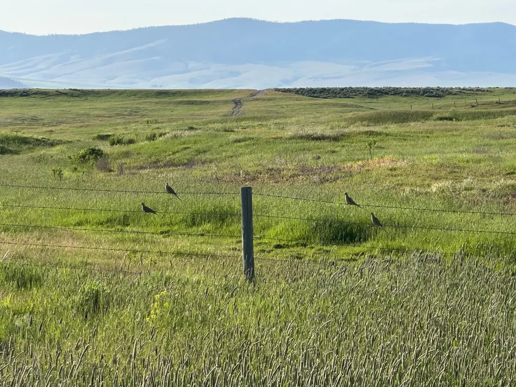 46471 Valley View Road Ronan MT 59864