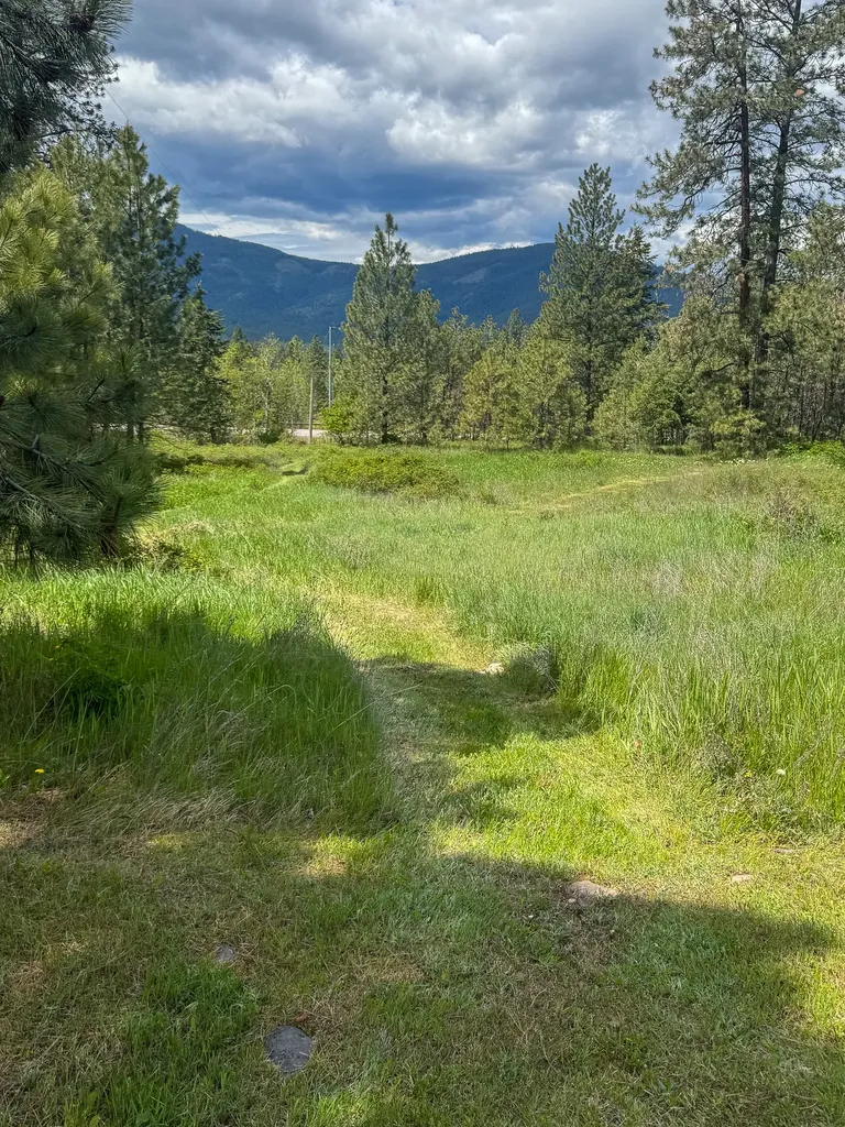 3150 Schley Creek Road Arlee MT 59821
