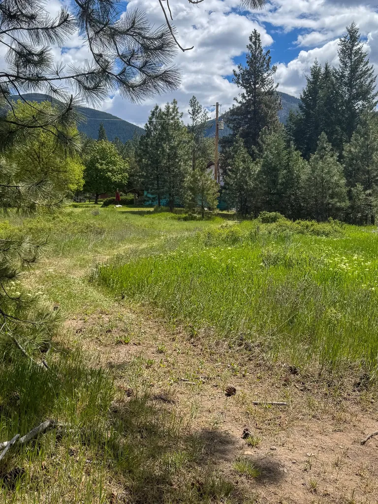 3150 Schley Creek Road Arlee MT 59821