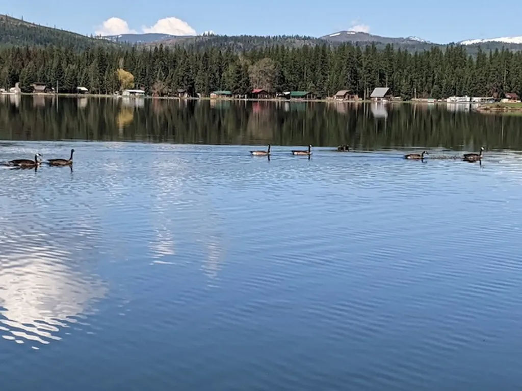 3147 Highway 83 N Seeley Lake MT 59868