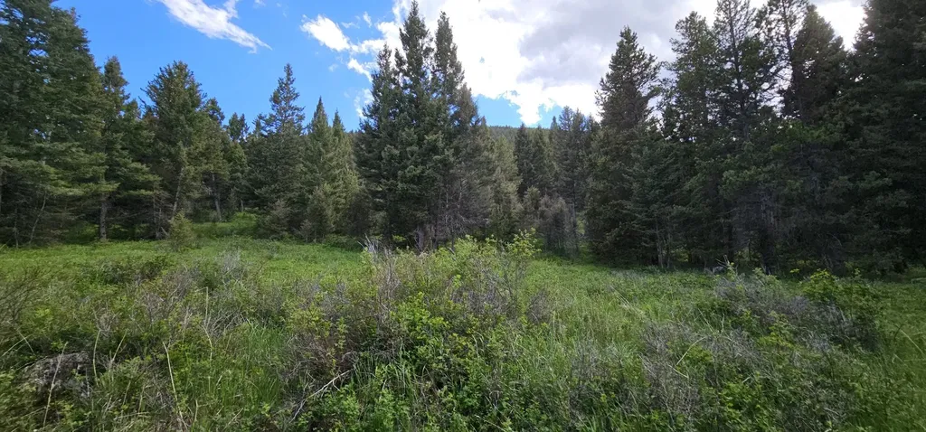 Tract 11 Hall Creek Helmville MT 59843