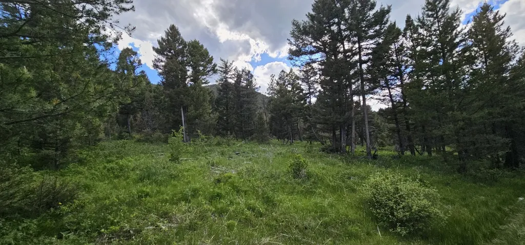Tract 11 Hall Creek Helmville MT 59843