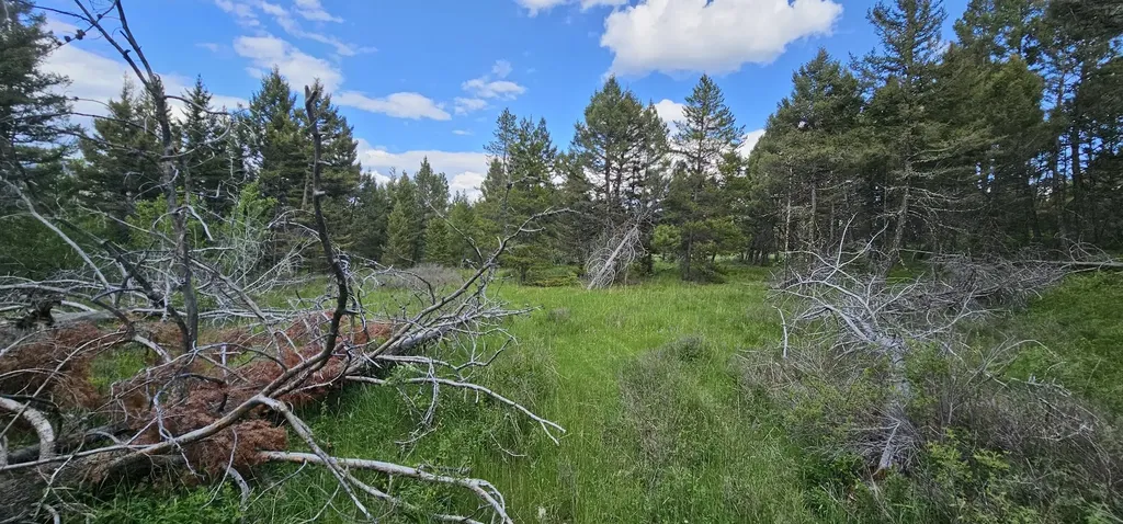 Tract 11 Hall Creek Helmville MT 59843