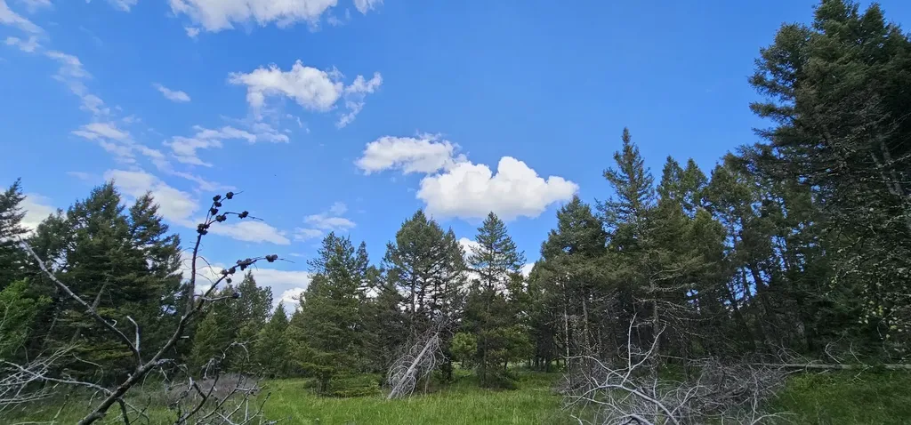 Tract 11 Hall Creek Helmville MT 59843