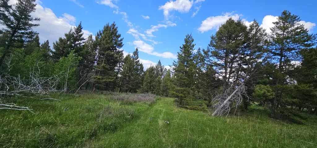Tract 11 Hall Creek Helmville MT 59843