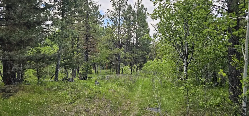 Tract 11 Hall Creek Helmville MT 59843