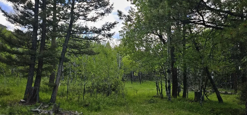 Tract 11 Hall Creek Helmville MT 59843