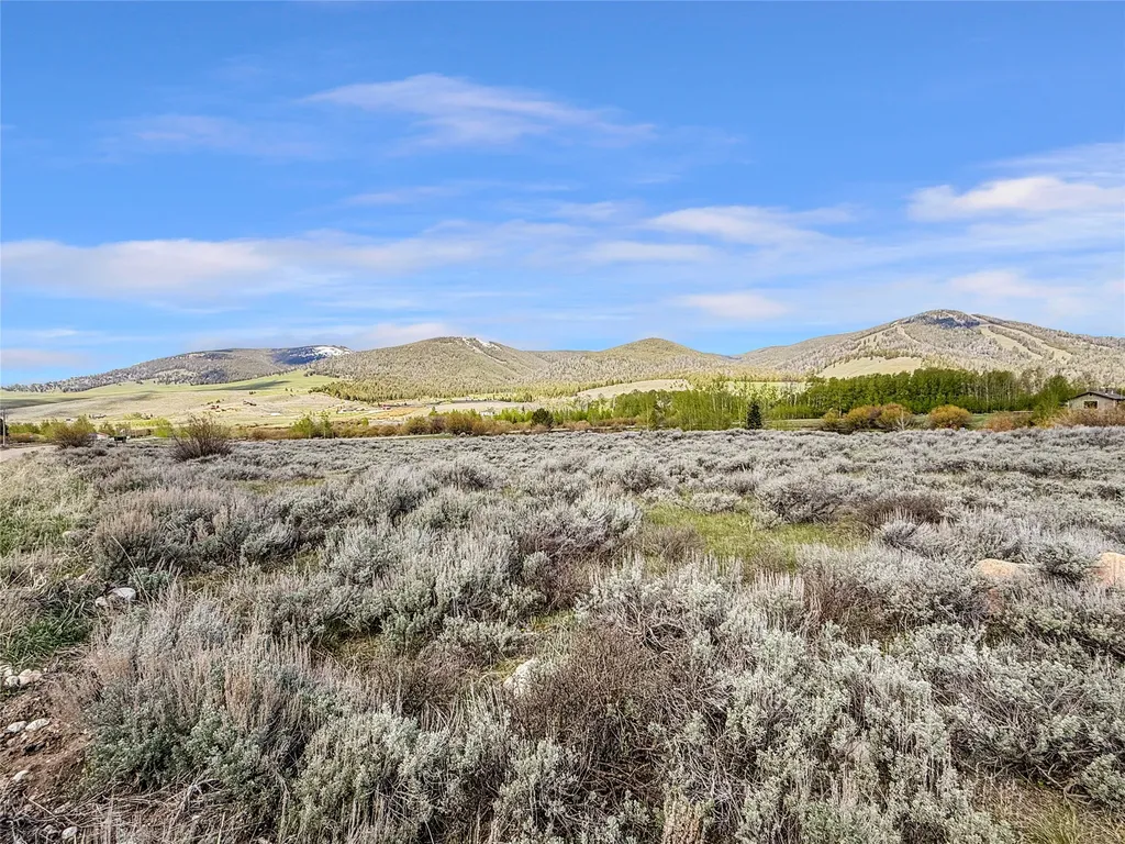 Lot 11 Clark Creek Road Polaris MT 59746