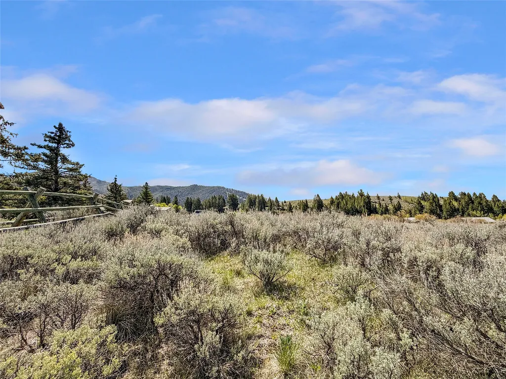 Lot 11 Clark Creek Road Polaris MT 59746