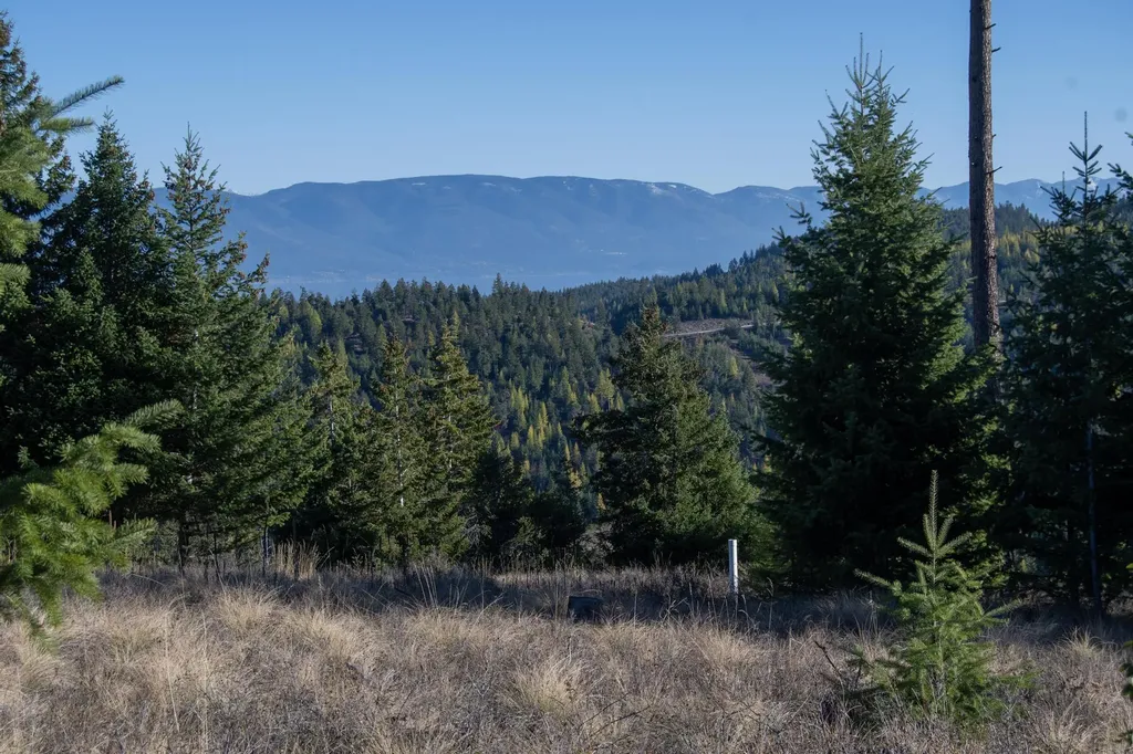 367 Ridge Line Drive Lakeside MT 59922