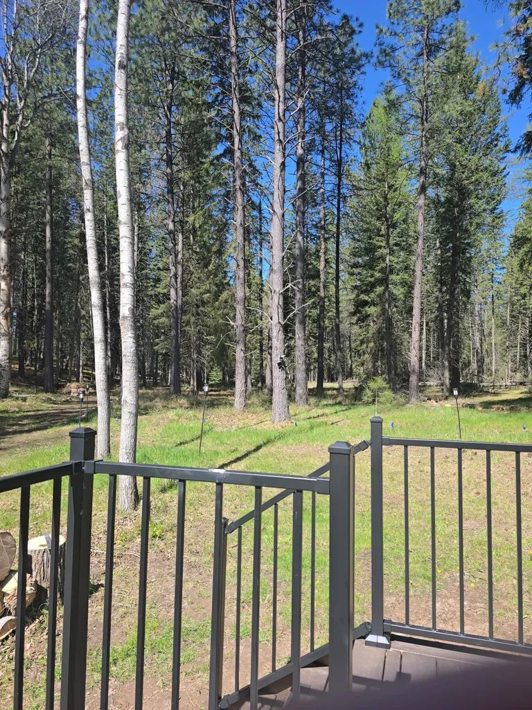 777 Mt Highway 83 Bigfork MT 59911