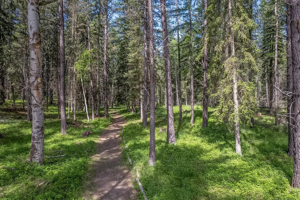 777 Mt Highway 83 Bigfork MT 59911
