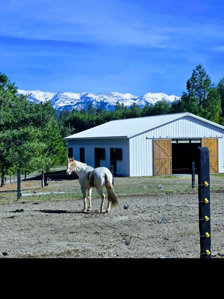777 Mt Highway 83 Bigfork MT 59911