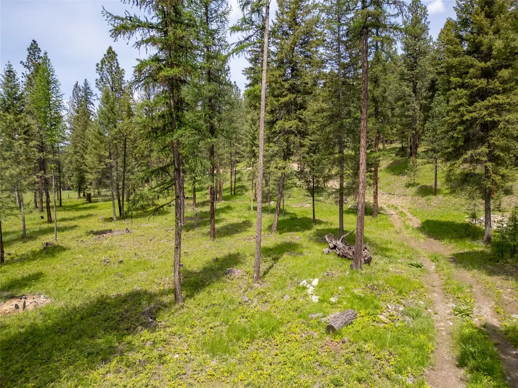 119 Skyline Court Libby MT 59923