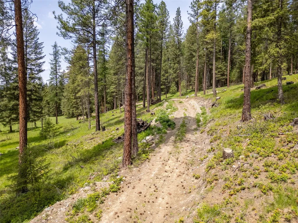 119 Skyline Court Libby MT 59923