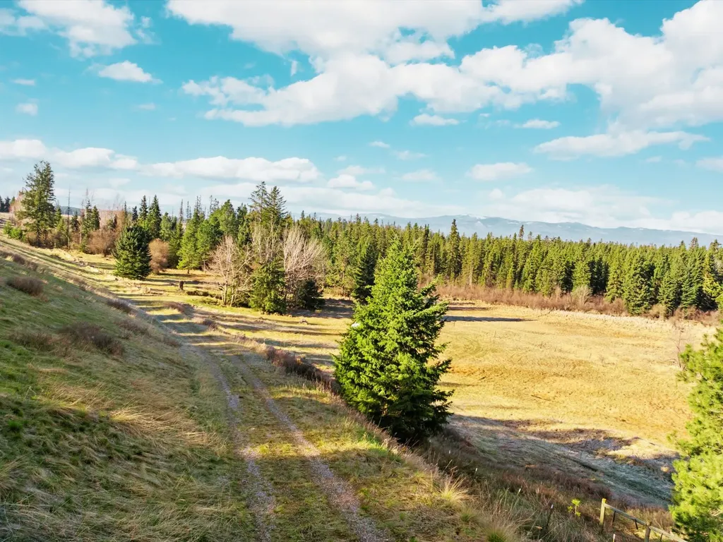 5464 Mt Highway 35 Kalispell MT 59901