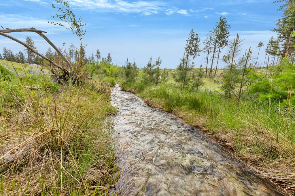 Nhn Lot 11 Roaring Lion Road Hamilton MT 59840