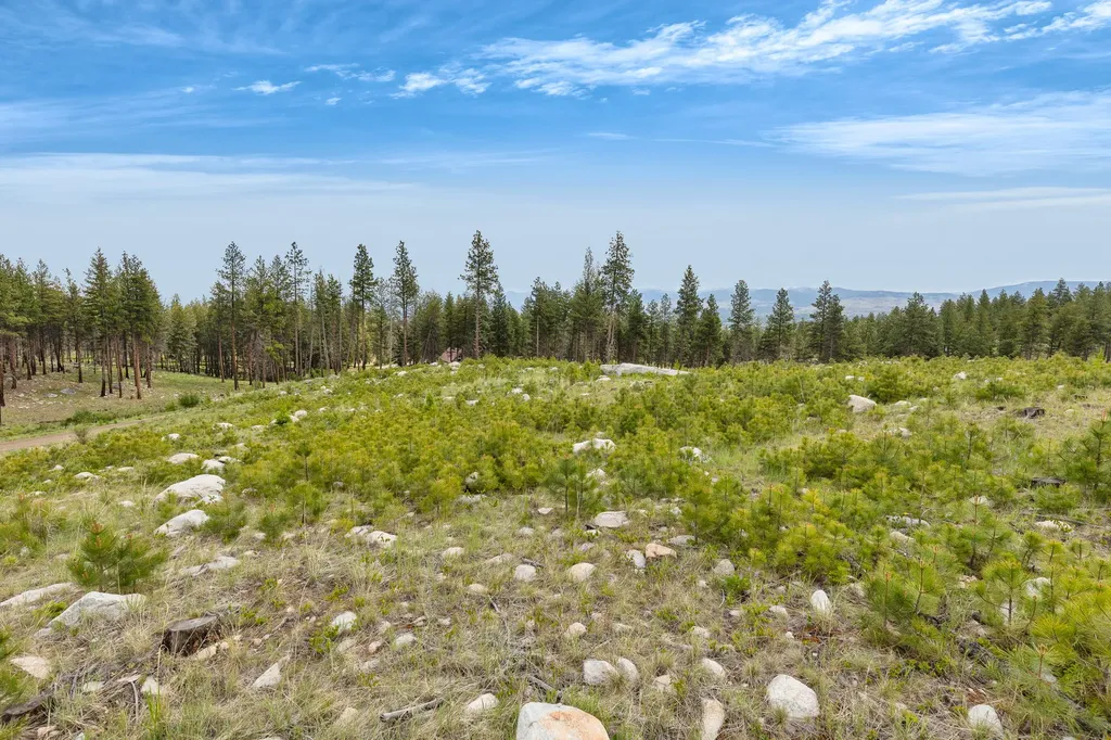 Nhn Lot 11 Roaring Lion Road Hamilton MT 59840