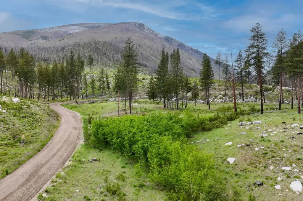 Nhn Lot 11 Roaring Lion Road Hamilton MT 59840