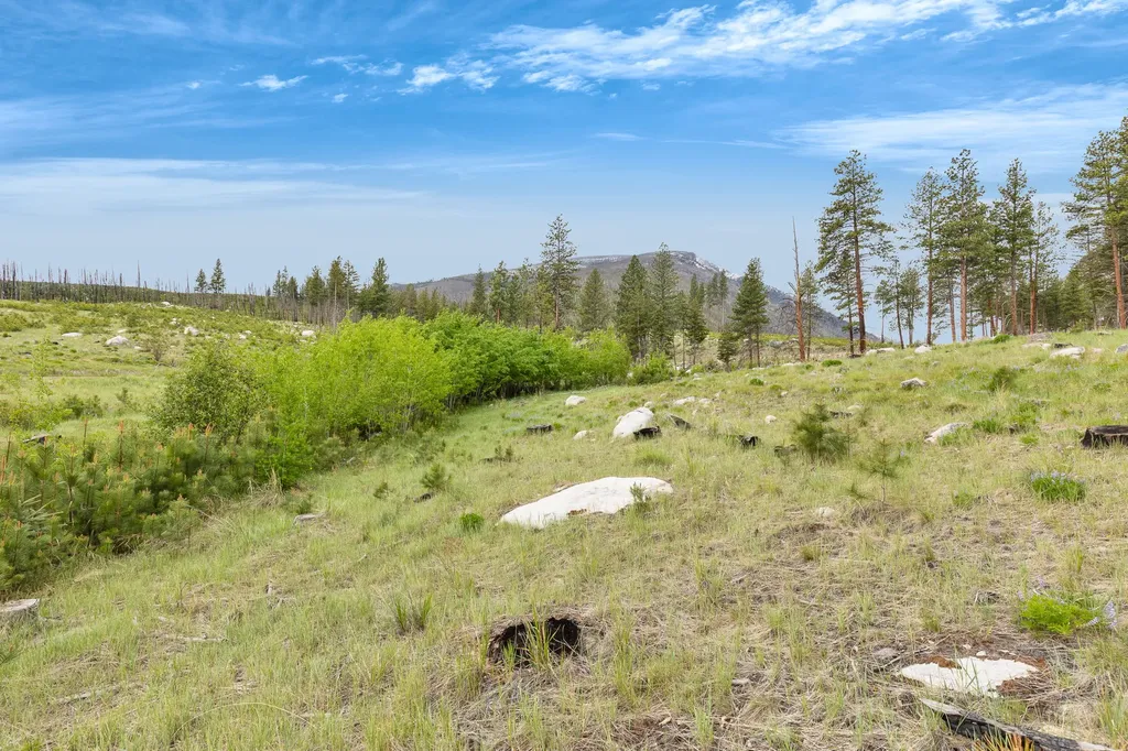 Nhn Lot 11 Roaring Lion Road Hamilton MT 59840